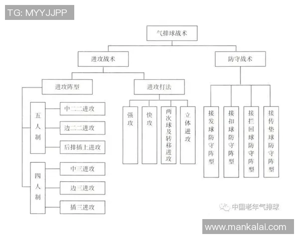 深圳排球队的节奏打法深度解析与战术创新探讨